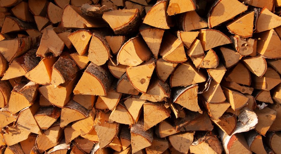 FIREWOOD IS BACK! THE INCREASE IN ENERGY PRICES BOOSTS THE SALE OF STOVES AND FIREPLACES IN THE FINAL STRETCH OF THE SUMMER