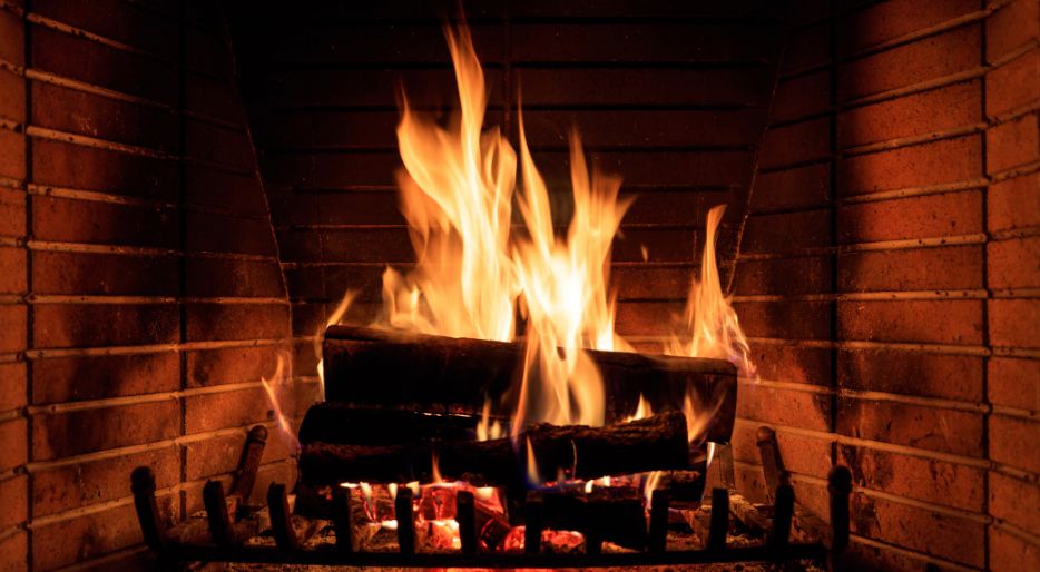 What is the best firewood for the fireplace?