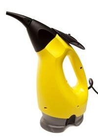 Steam cleaner for cleaning chimney glass 