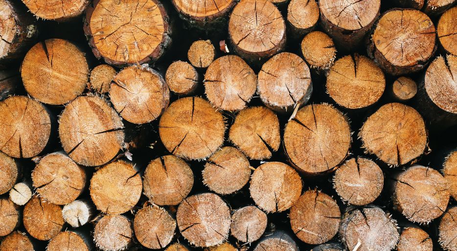 Il legno umido e i suoi problemi di combustione