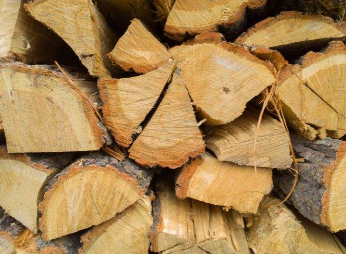 Qual è la migliore legna da ardere per il camino?