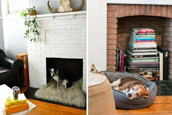Ideal space for your pet: the fireplace