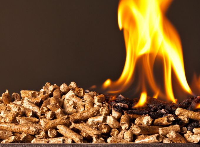 Pellet fuel for fireplace