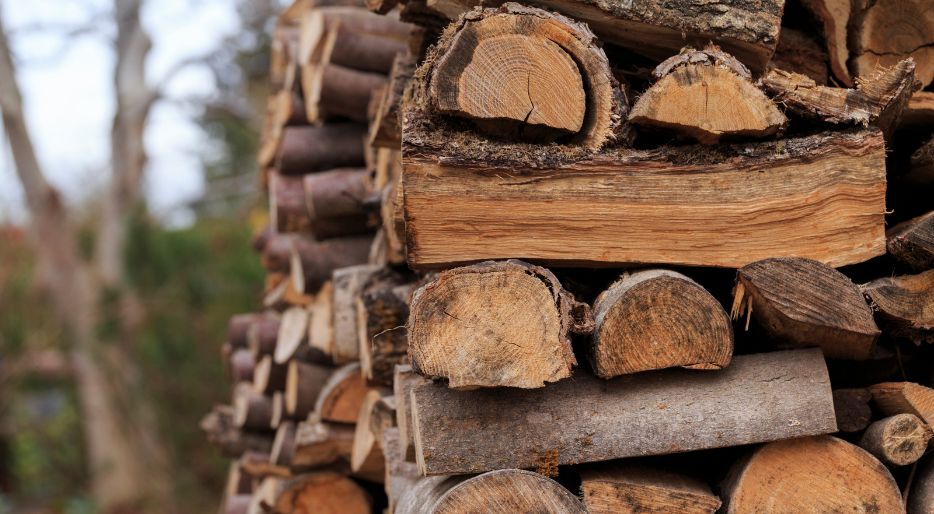 The importance of firewood quality for stove performance