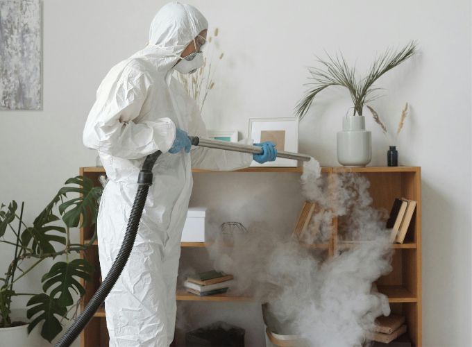 Fumigar es una de las formas para combatir la termitas