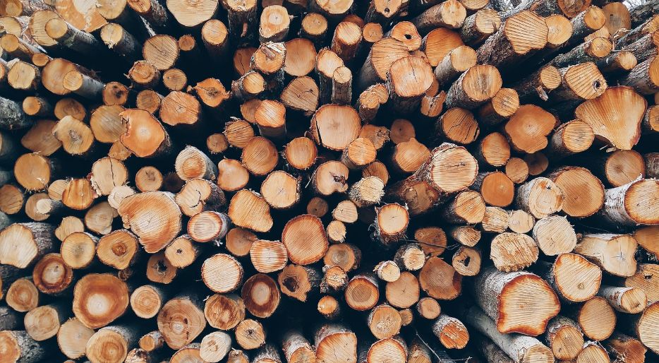 Waarom moet u brandhout kopen in de lente en de zomer?
