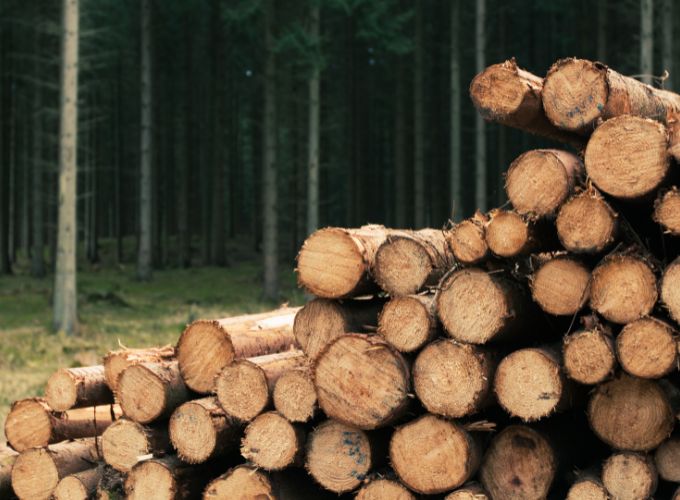 How to store firewood in summer
