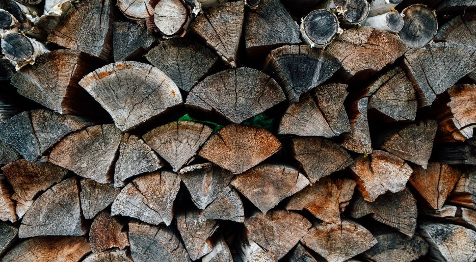 Který sporák spotřebuje méně dřeva?