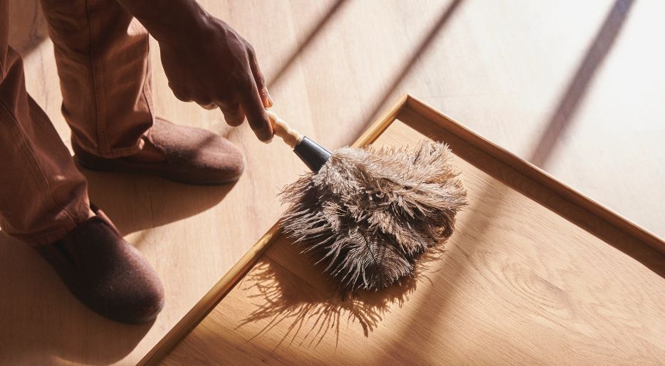 guida per evitare di spolverare in casa
